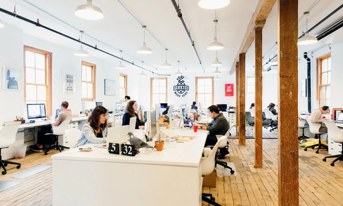 Complete Guide to Office AvstarNews