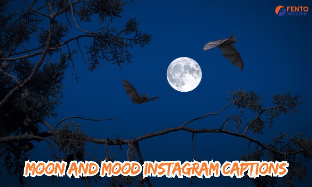 Moon and Mood Instagram Captions