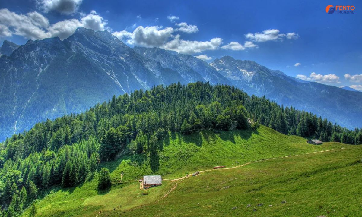 Nature Instagram Captions