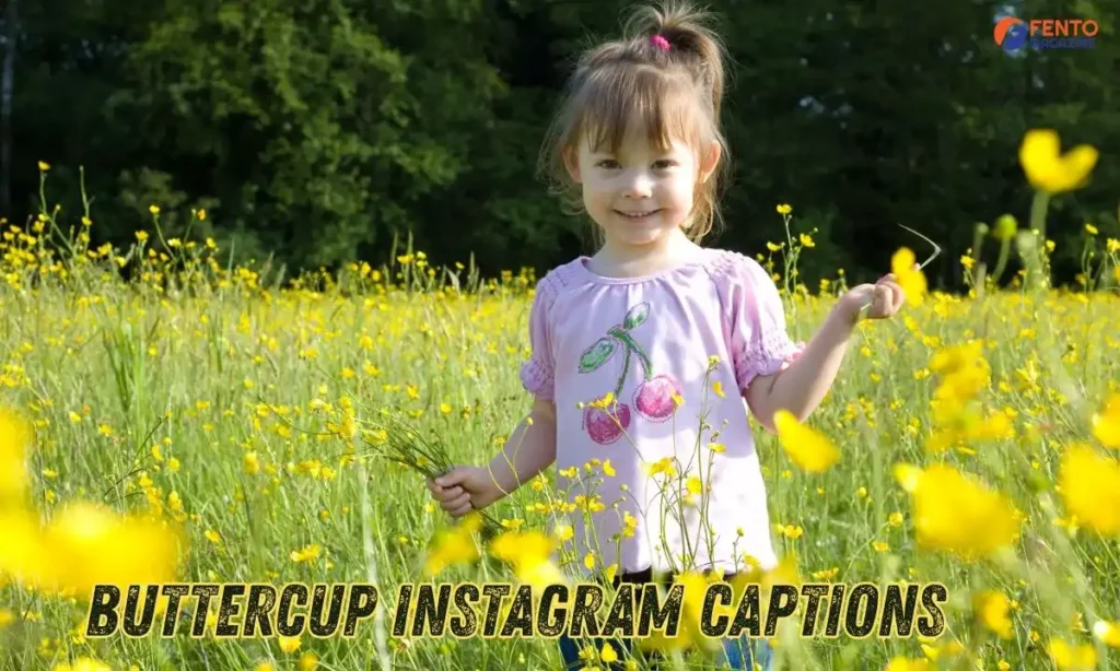 Buttercup Instagram Captions