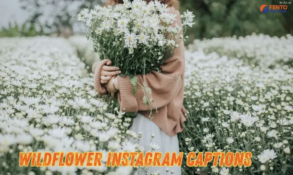 Wildflower Instagram Captions